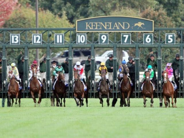 Keeneland Update and Kentucky Derby Preview